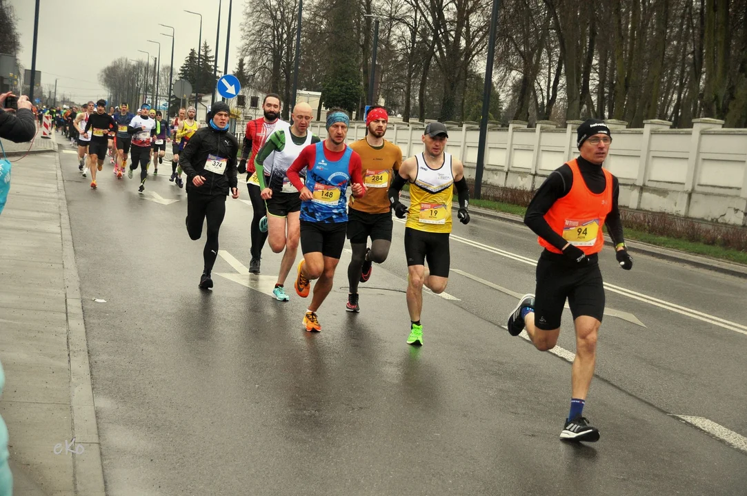 XI Pabianicki Półmaraton