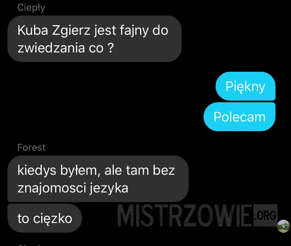 Memy o Zgierzu. Jak zwykle internauci nie zawiedli