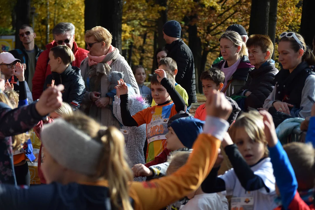 Jesienny Festiwal Szakala