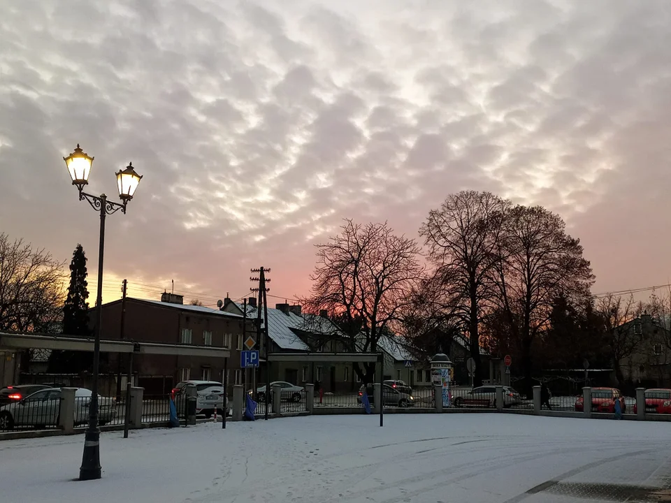 Fotogaleria mieszkańców Zgierza