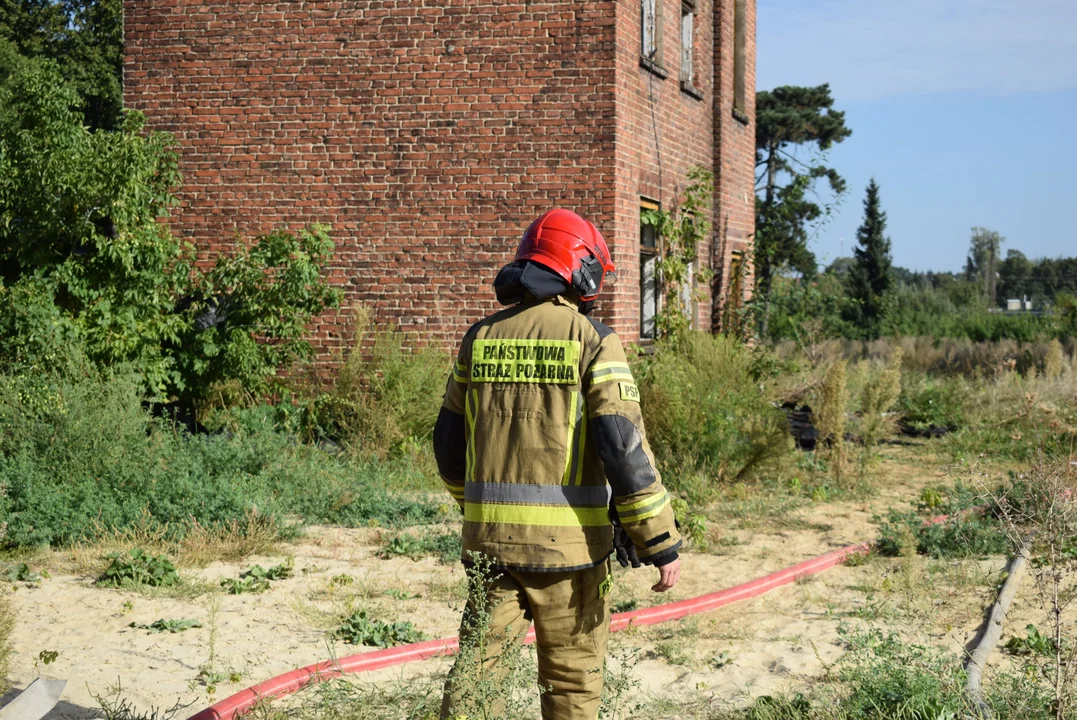 Pożar budynku w centrum Zgierza. Na miejscu wszystkie służby [ZDJĘCIA] - Zdjęcie główne