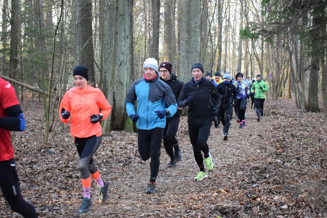 Parkrun w Lesie Łagiewnickim