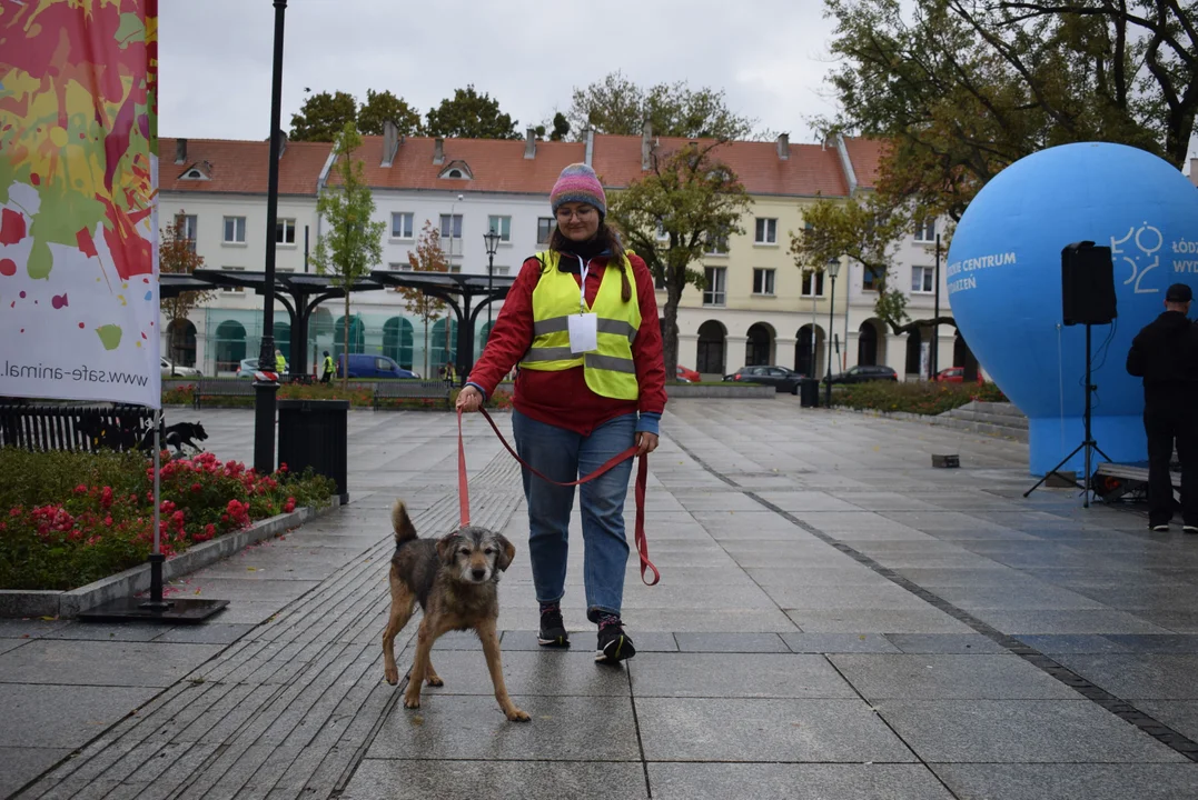 Psy przejęły Stary Rynek. Światowy Dzień Zwierząt w Łodzi [ZDJĘCIA] - Zdjęcie główne