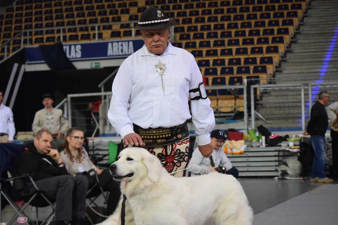 Wystawa psów w Atlas Arenie