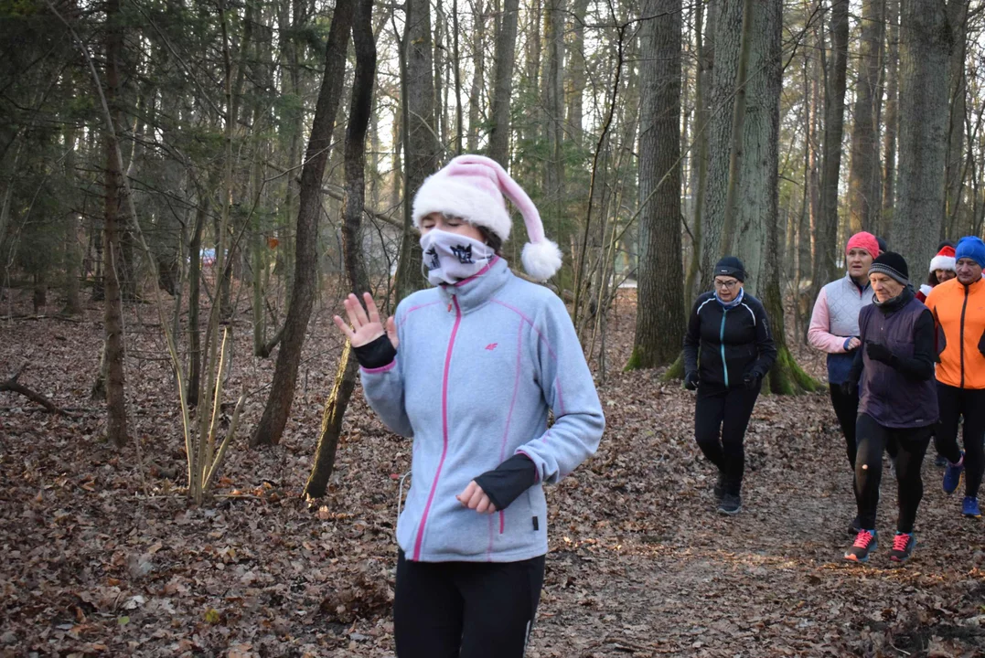 Parkrun w Lesie Łagiewnickim