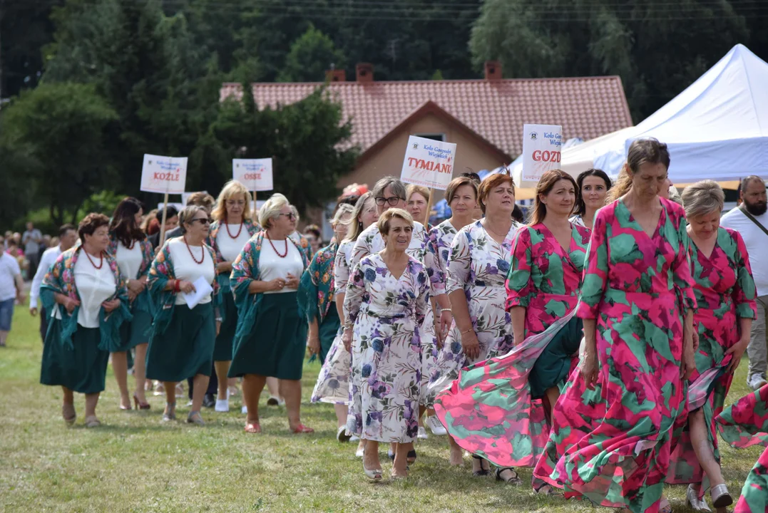 Dożynki gminy Stryków w Warszewicach