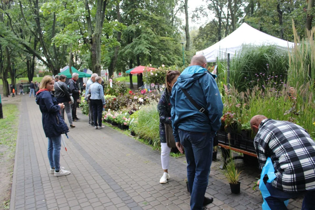 Trwa Święto Róży. Sporo osób odwiedza park Traugutta