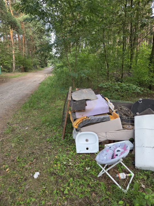 śmieci w lesie wolbórz