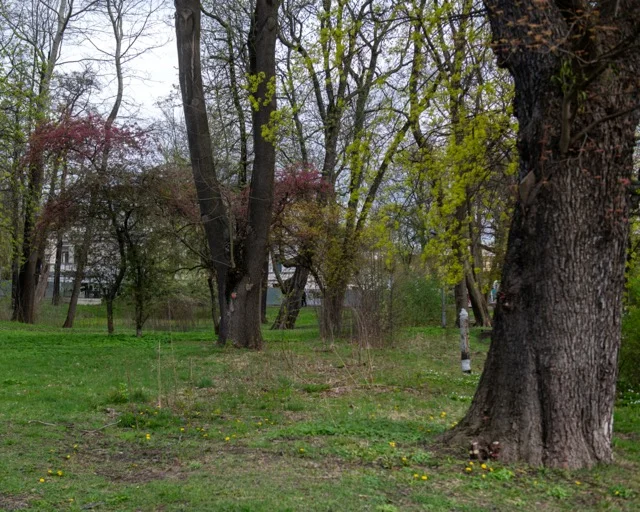 Rzeka Lamus popłynie przez park Kilińskiego