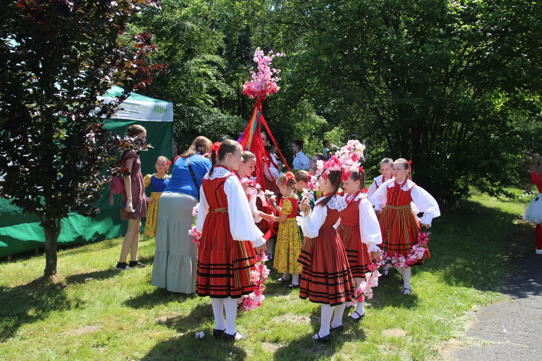 "Majówka w ogrodzie" - Ogród Botaniczny w Łodzi zaprasza na piknik rodzinny