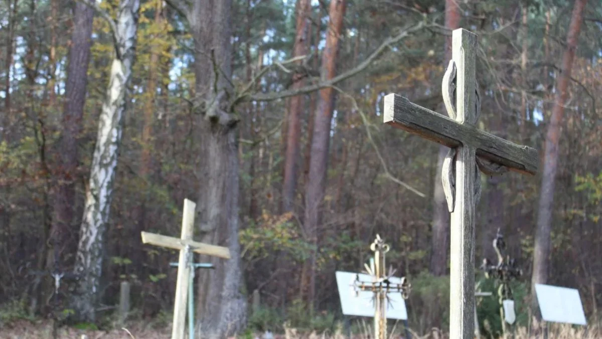 Zapomniany cmentarz w lesie, obok szpital psychiatryczny. Chcą zadbać o to miejsce