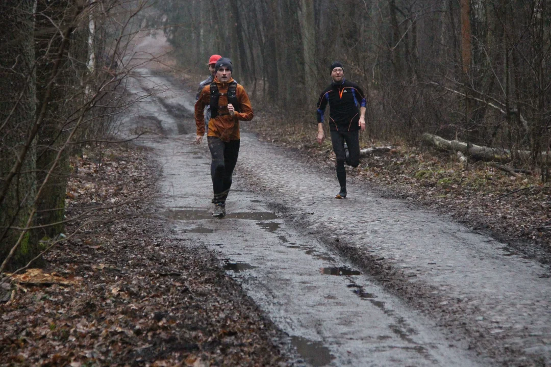 Walentynkowy parkrun w Lesie Łagiewnickim