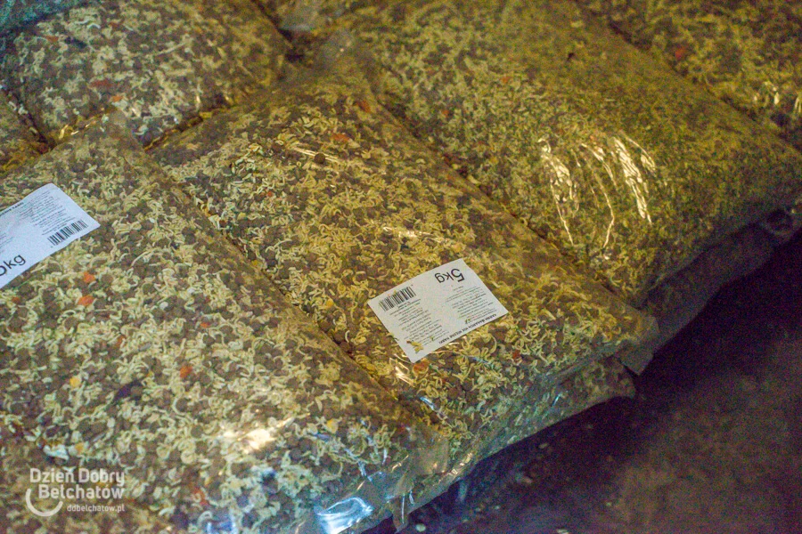 Schronisko Bełchatów