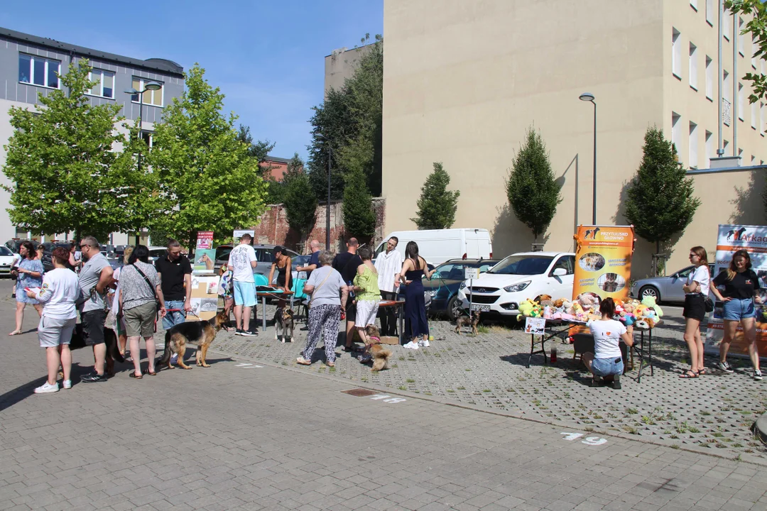 Animal Patrol świętuje swoje 8. urodziny