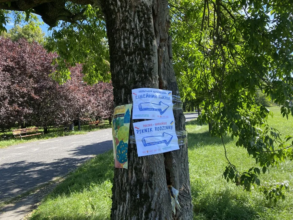 Polsko-Ukraiński Piknik w Parku Baden-Powella w Łodzi