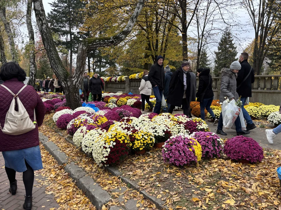 Korki w okolicach cmentarza na Dołach