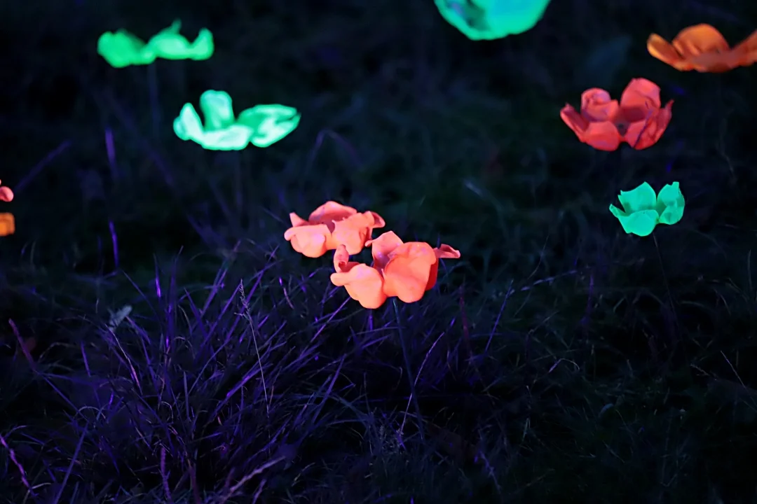 Light Move Festival 2025 – muzyczny drugi dzień