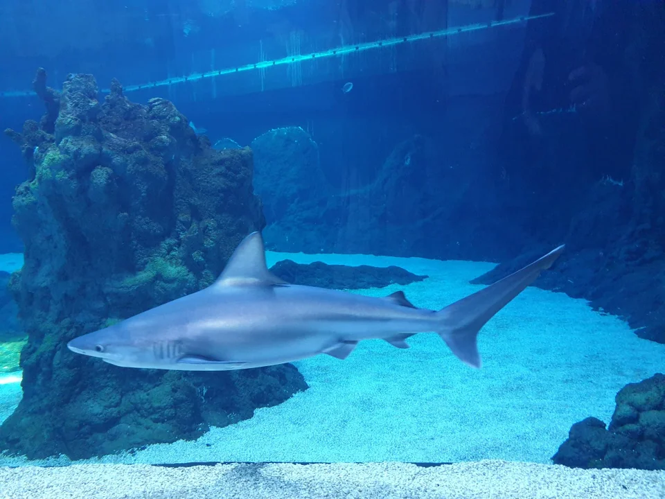 Orientarium ZOO Łódź