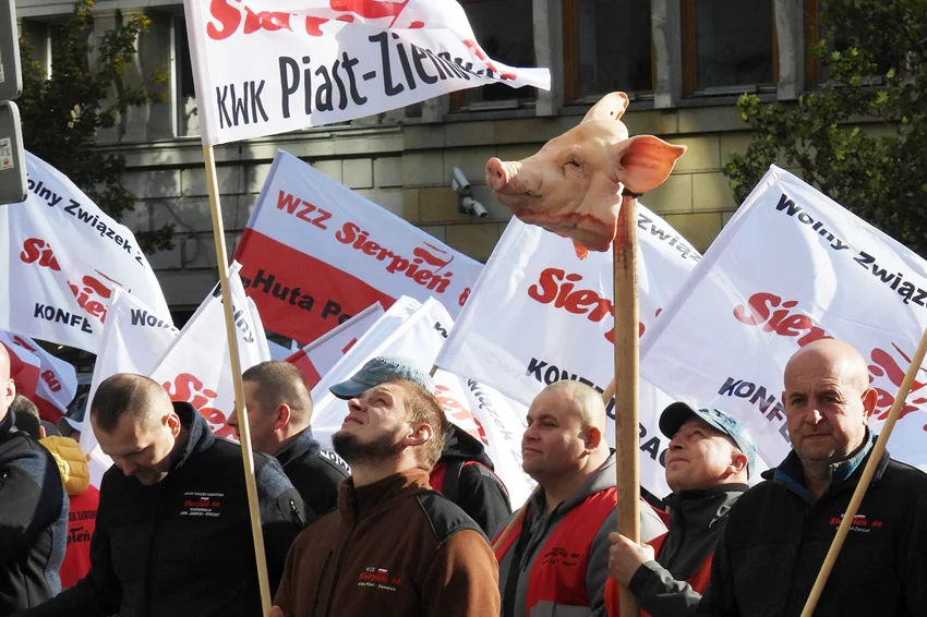 Przynieśli świńskie głowy pod siedzibę PGE. Powód? Ogromne ceny węgla i prądu [FOTO] - Zdjęcie główne