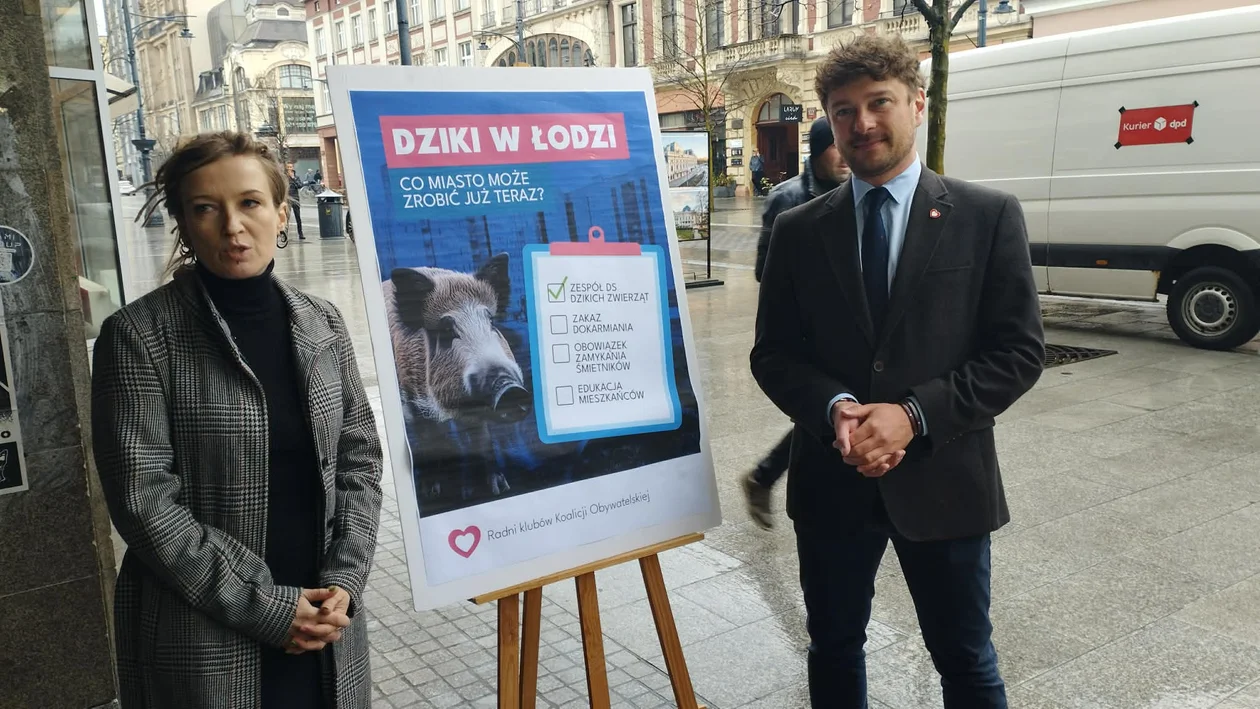 Konferencja o dzikach w Łodzi