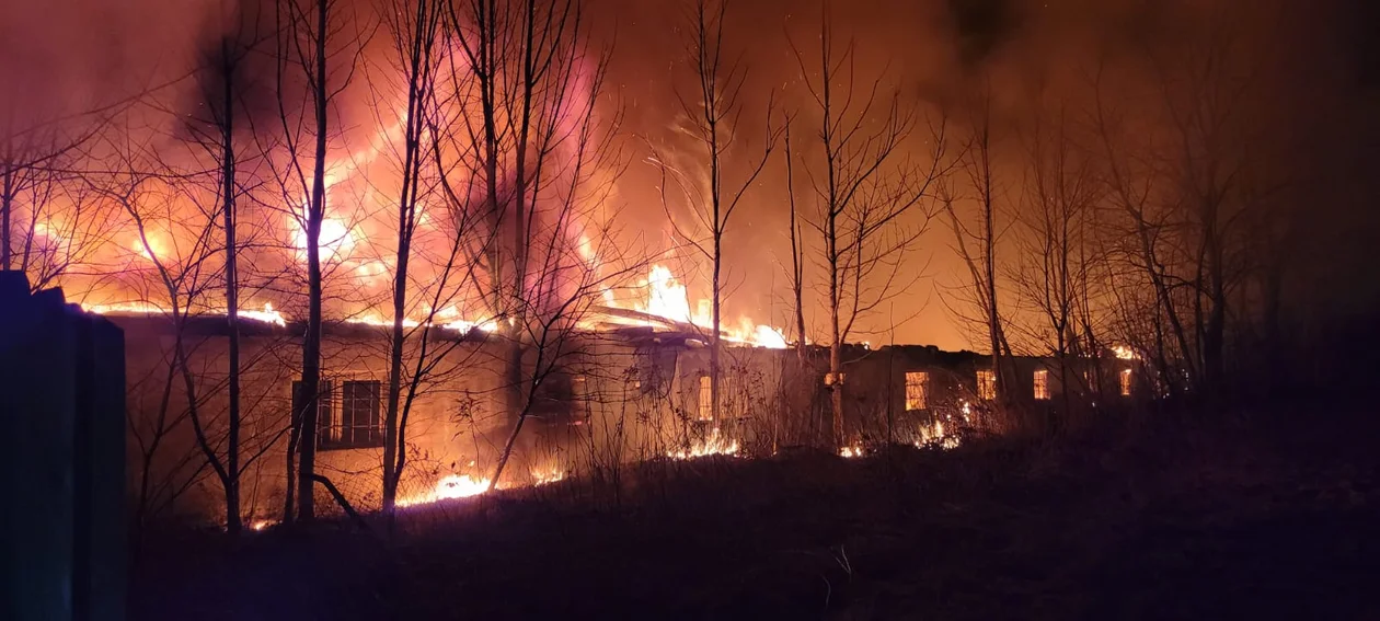 Pożar w Emilii pod Zgierzem. Ogromne straty - Zdjęcie główne