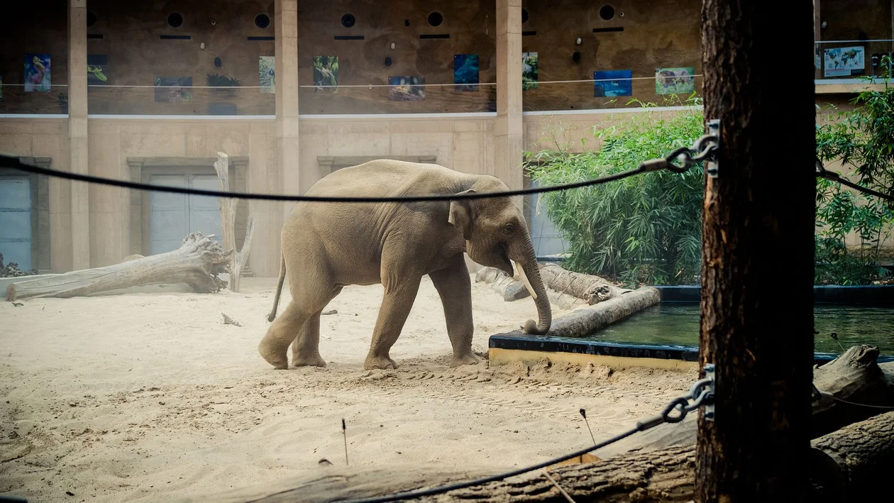 Orientarium ZOO Łódź