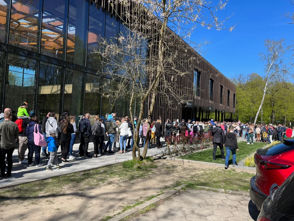 Kolejka w majówkę do Orientarium ZOO Łódź