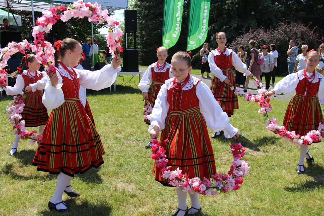 "Majówka w ogrodzie" - Ogród Botaniczny w Łodzi zaprasza na piknik rodzinny