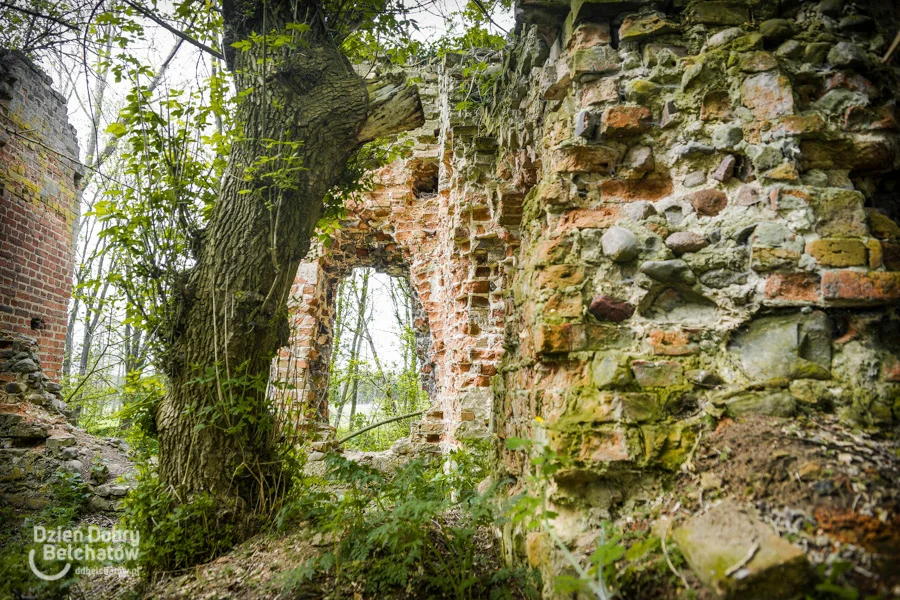 Dwór w Mikorzycach