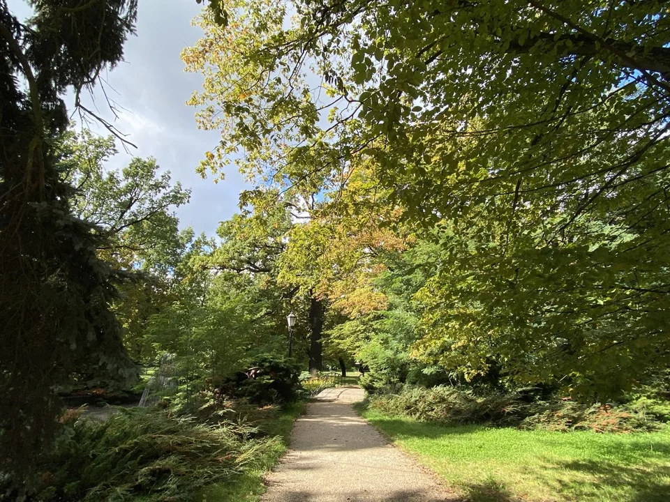 Park Źródliska jesienią