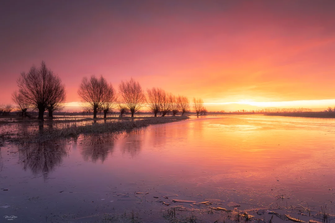 Wernisaż wystawy fotografii Damiana Redlickiego. Zdjęcia zapierają dech w piersiach [galeria]