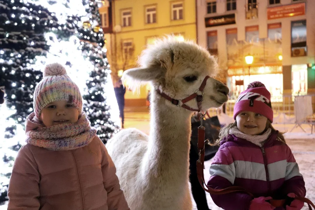 Już dziś (6.12) oficjalne uruchomienie iluminacji świątecznych w Kutnie