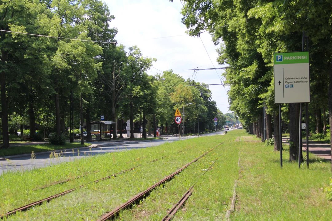 Nieczynne przystanki tramwajowe przy Konstantynowskiej