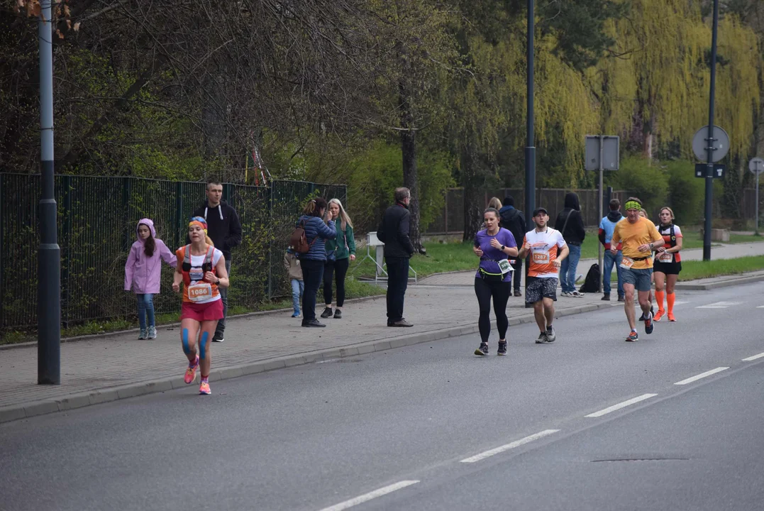 DOZ Maraton ulicami miasta. Zobacz zdjęcia z biegu głównego