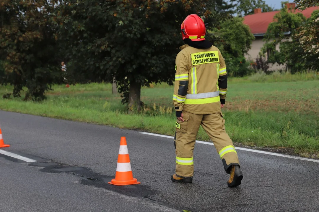 Dachowanie BMW w powiecie kutnowskim