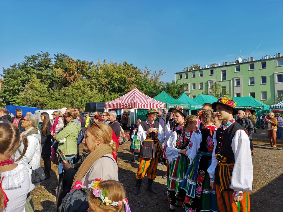 Łodzianie i mieszkańcy okolic na ryneczku marszałkowskim przy Drewnowskiej w Łodzi