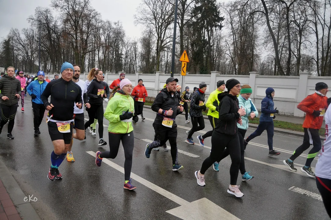 XI Pabianicki Półmaraton