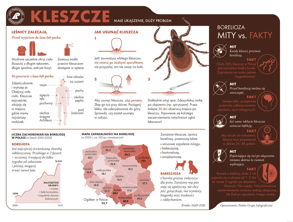 Kleszcze - małe ukąszenie, duży problem