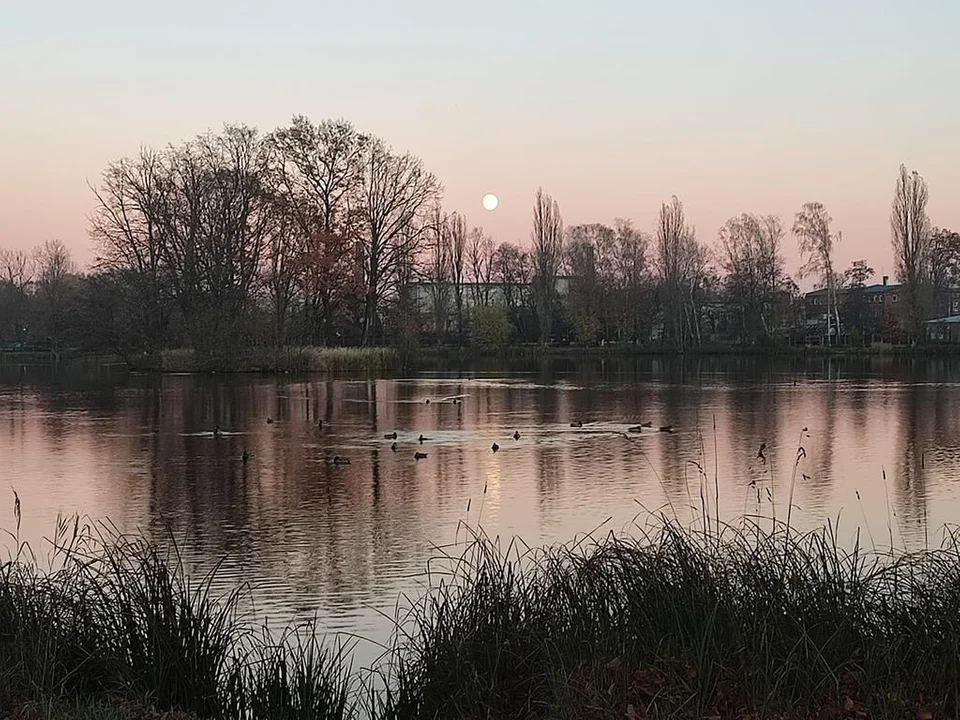 Zgierz oczami naszych Czytelników. Zobacz najpiękniejsze zdjęcia miasta [galeria] - Zdjęcie główne