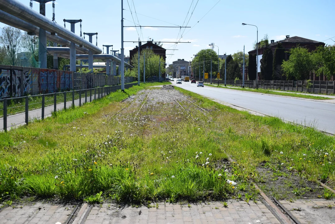 Jutro ma pojechać tędy tramwaj. MPK Łódź ogłosiło co się zmieni [zdjęcia] - Zdjęcie główne