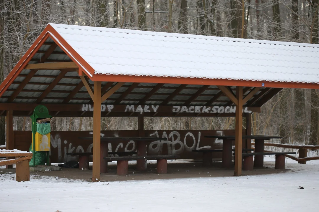 Miała służyć wszystkim. Zobacz, co wandale zrobili z nową wiatą pod Płockiem! - Zdjęcie główne
