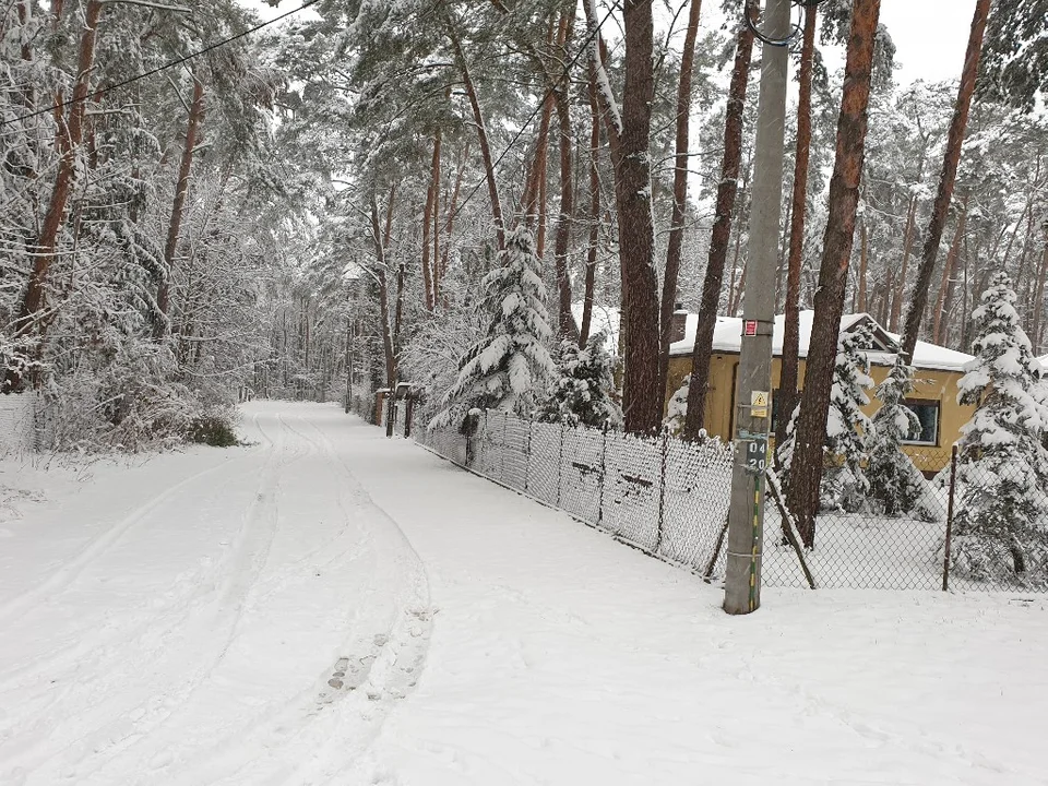 Śnieżna galeria ze Zgierza i Sokolnik-Lasu