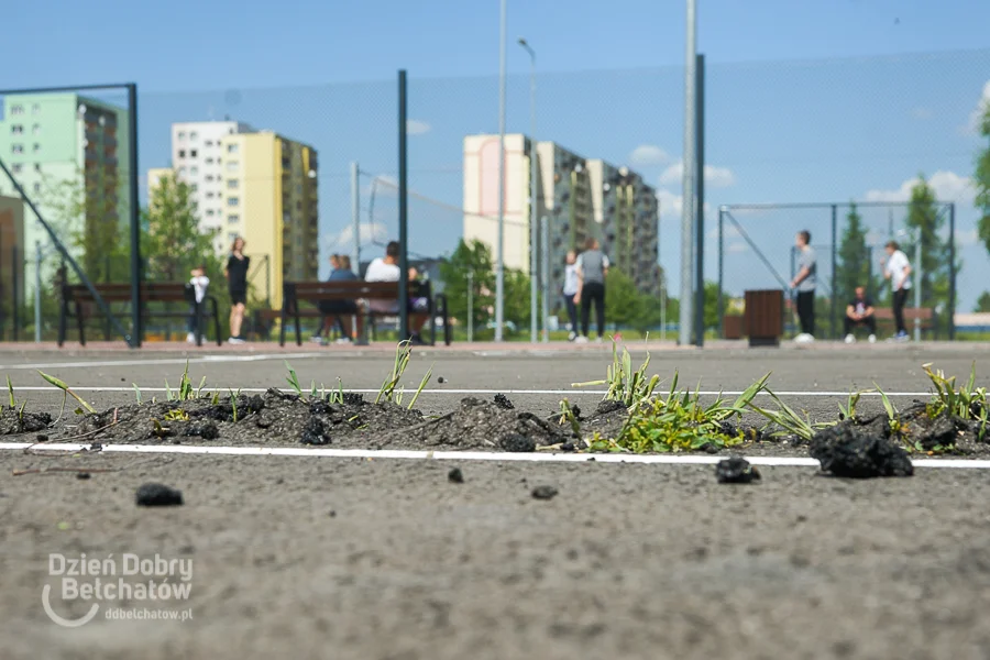 "Trawa wyrasta z pofałdowanego asfaltu". Kuriozalna sytuacja po remoncie osiedlowych boisk - Zdjęcie główne