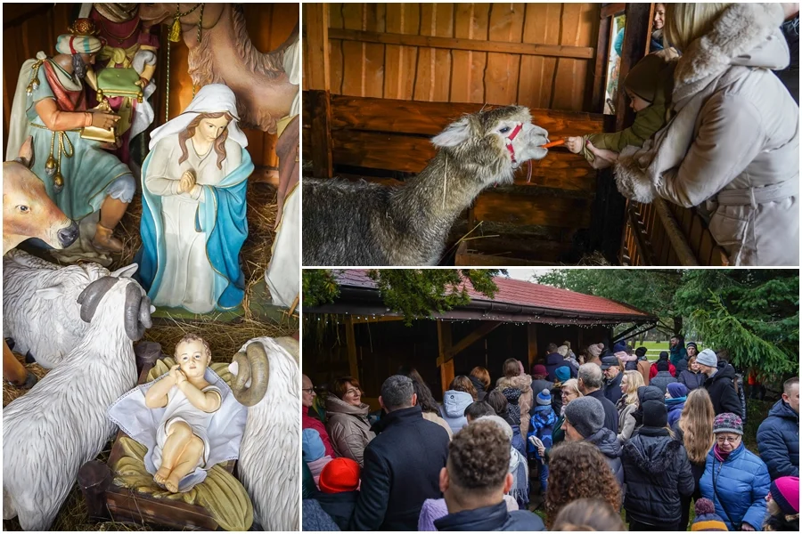 Mieszkańcy odwiedzają żywą szopkę bożonarodzeniową. Zobacz, jak wygląda [FOTO] - Zdjęcie główne