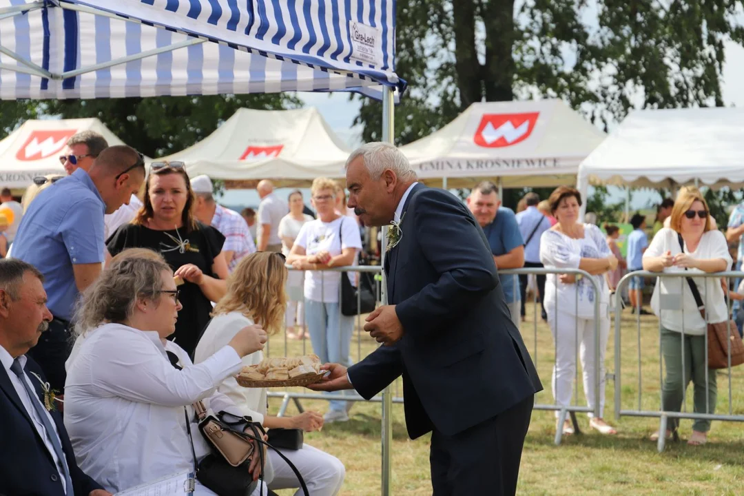 Dożynki gminy Krośniewice