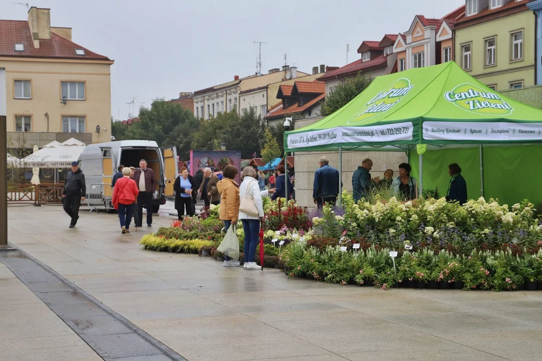 Centrum Kutna tętni życiem. Na mieszkańców czeka m.in. Teatr Wagabunda i wystawa samochodów