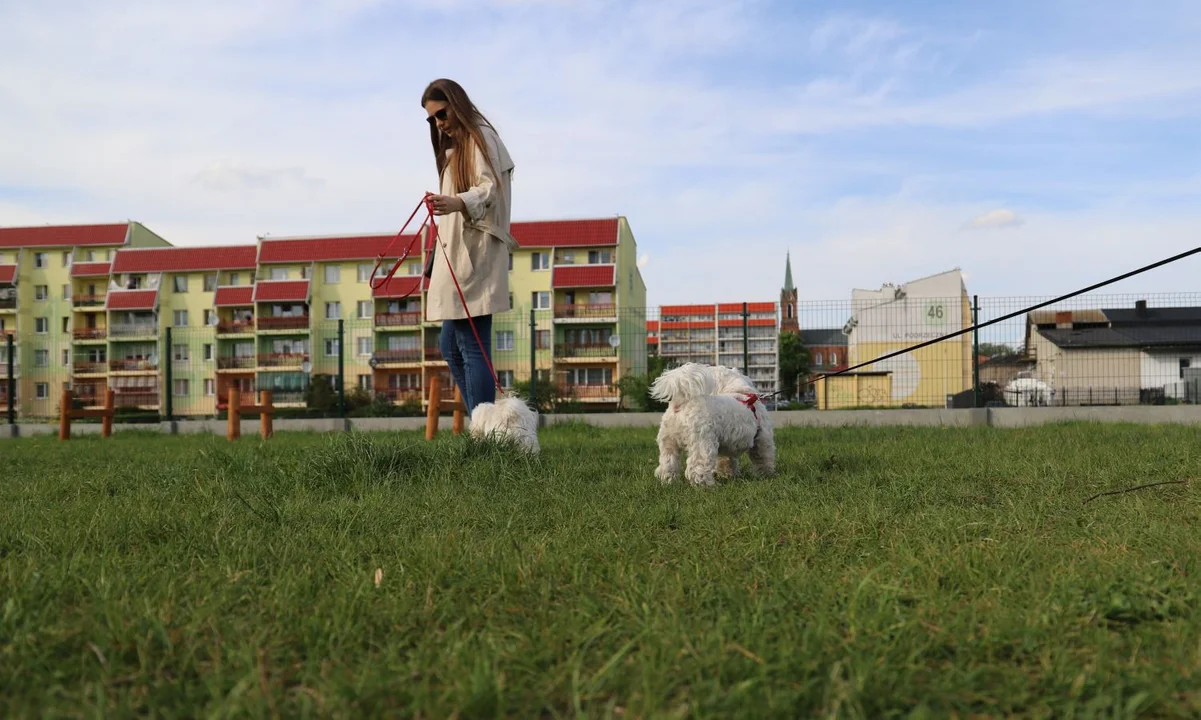 W Łęczycy powstanie wybieg dla psów?