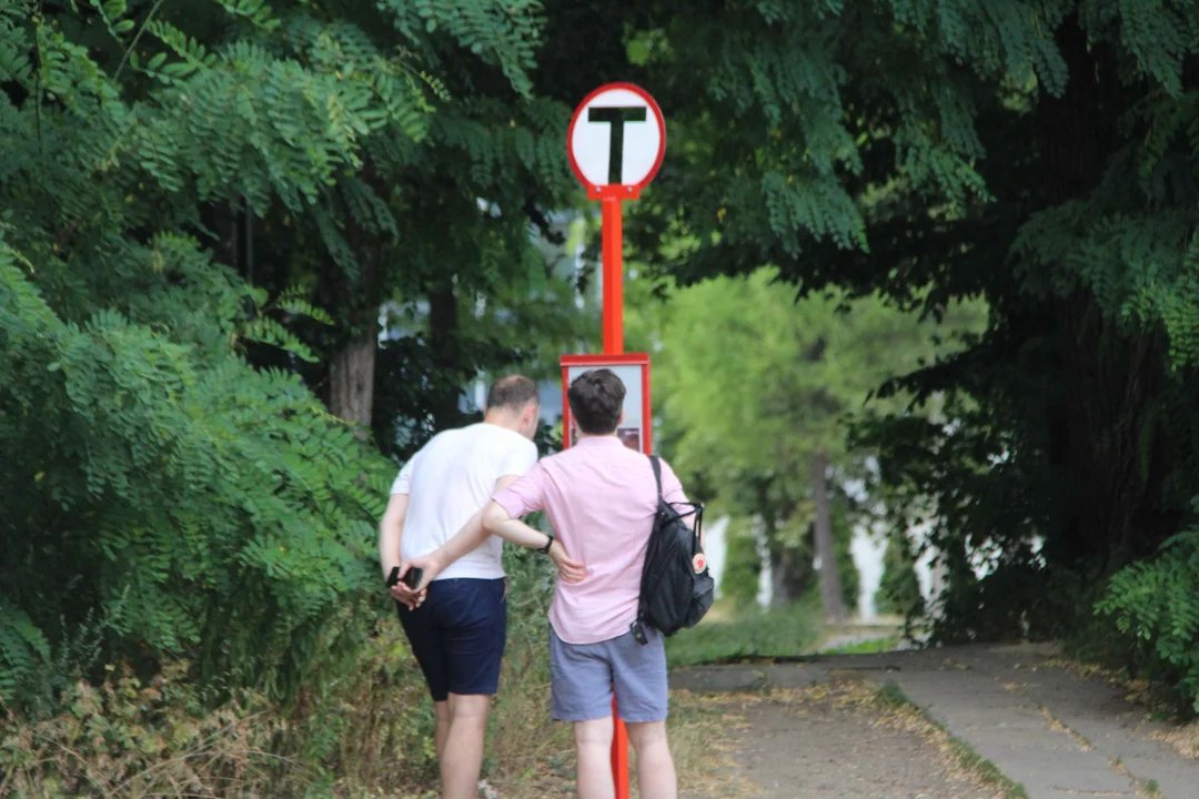 Zabytkowe tramwaje na łódzkich ulicach