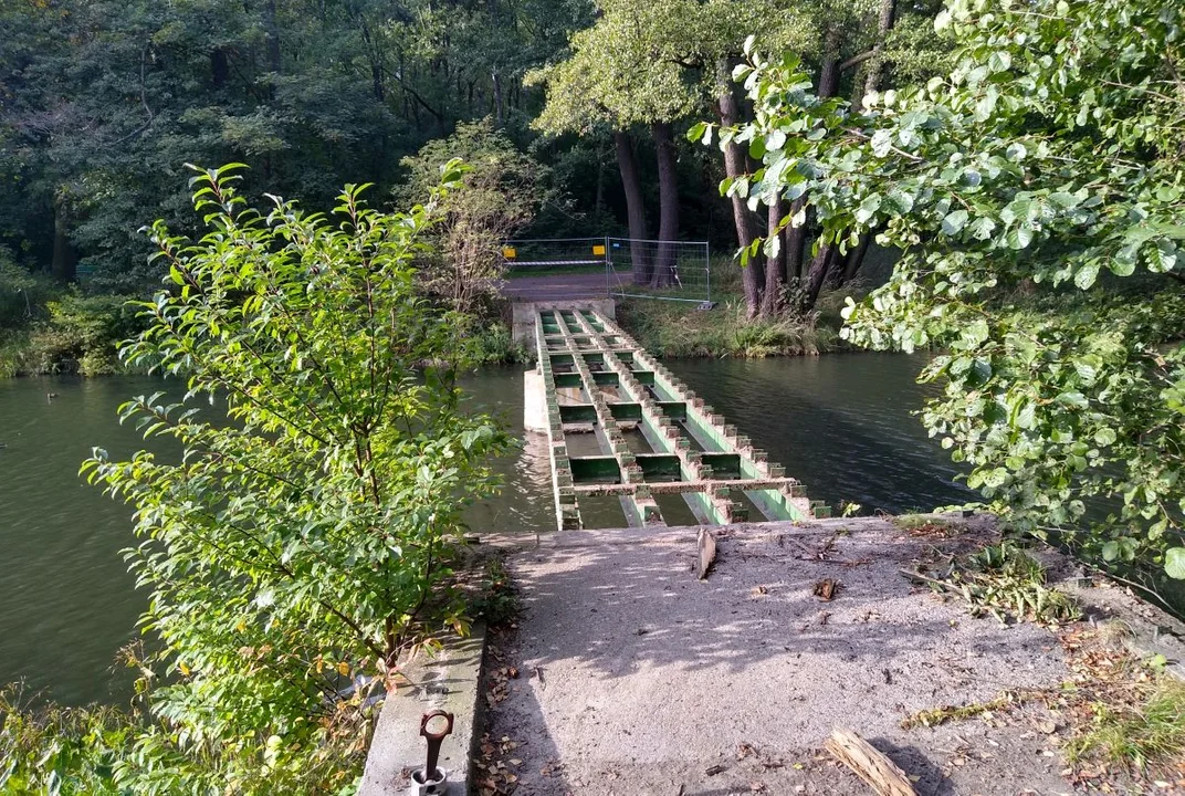 Dziczeje Park Julianowski