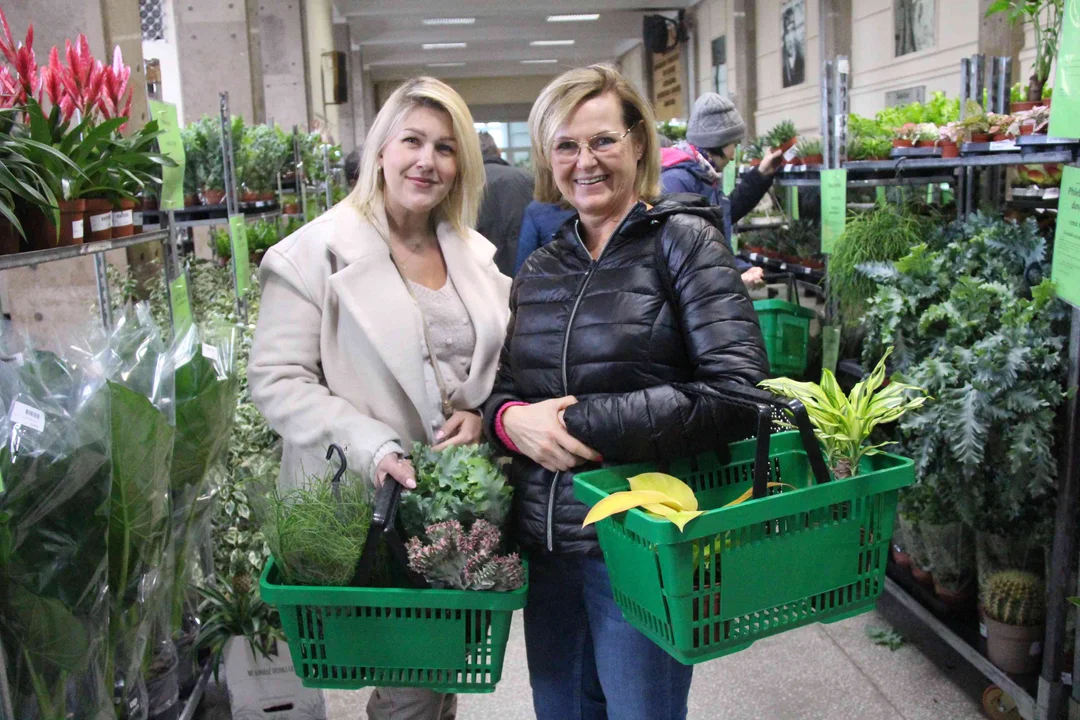 Gala Kwiatowa w łódzkiej hali MOSiR. W roli głównej ponad 350 gatunków roślin [ZDJĘCIA] - Zdjęcie główne